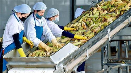 Xuất khẩu nông lâm thủy sản đạt gần 16,7 tỷ USD trong quý I/2026