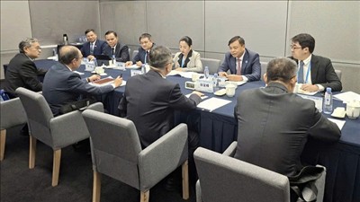 Trung Quốc phê duyệt thêm nhiều mã số vùng trồng, cơ sở đóng gói nông sản Việt Nam