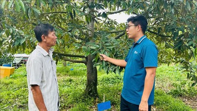 Chiến lược quản lý đồng bộ, bền vững cho nông sản