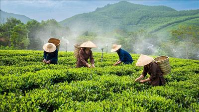 Xây dựng kế hoạch truyền thông phục vụ Chương trình mục tiêu quốc gia