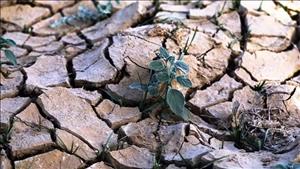 Bảo vệ tài nguyên nước toàn cầu