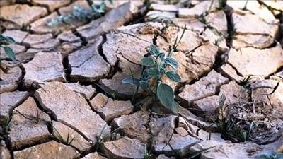 Bảo vệ tài nguyên nước toàn cầu