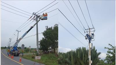 TPHCM: Nâng cấp hệ thống lưới điện phục vụ nuôi trồng thủy sản công nghệ cao