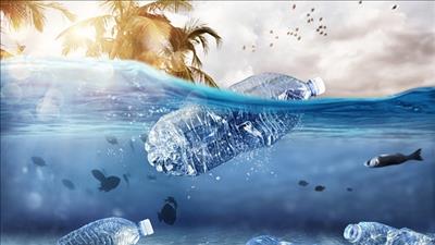 Kêu gọi cấm sản phẩm nhựa sử dụng một lần có hại và không cần thiết