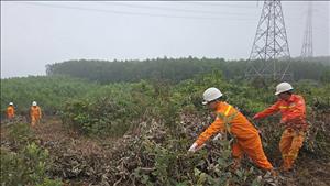 Đảm bảo an toàn phòng cháy, chữa cháy trong hành lang bảo vệ đường dây truyền tải điện