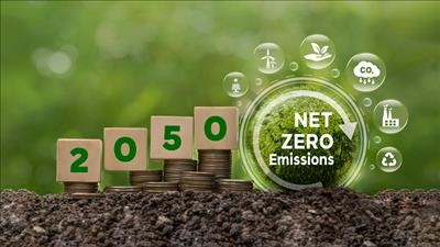 Việt Nam và Pháp chia sẻ kinh nghiệm về quản lý thị trường carbon