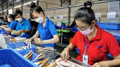 Tăng cường công tác xây dựng pháp luật, hoàn thiện các dự án Luật trình Quốc hội