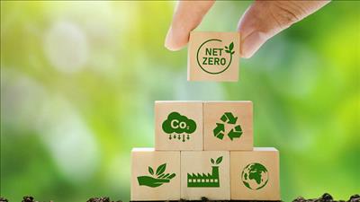 JICA sẽ hỗ trợ Việt Nam thực hiện mục tiêu trung hòa carbon
