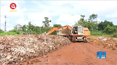 Chương trình truyền hình COP26