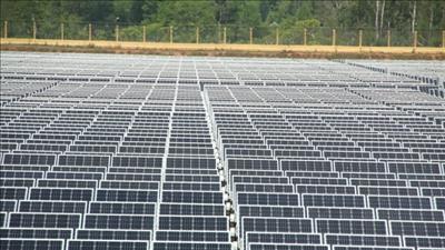 Phú Yên rà soát, tăng cường quản lý hoạt động của các dự án năng lượng tái tạo