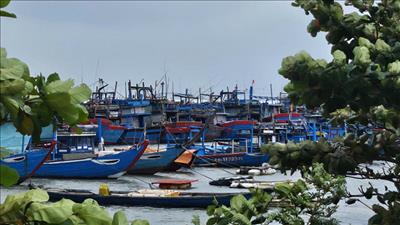 Ứng phó cơn bão số 15 và tiếp tục khắc phục hậu quả mưa lũ tại các tỉnh miền Trung