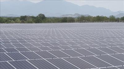 Nhà máy Điện mặt trời Phước Thái 1 phát điện toàn bộ 9 vùng pin