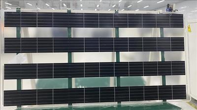 Sản xuất thành công tấm quang điện chuyên dùng cho nông nghiệp đầu tiên tại Việt Nam