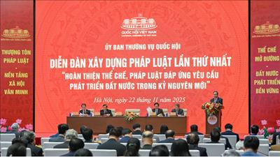 Đưa thể chế pháp luật trở thành lợi thế cạnh tranh, động lực phát triển đất nước