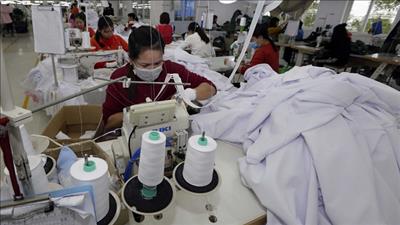 Phê duyệt Chương trình hỗ trợ pháp lý liên ngành cho doanh nghiệp nhỏ và vừa, hộ kinh doanh