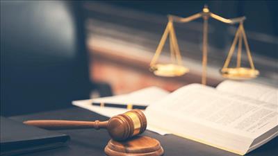 Đẩy nhanh tiến độ xây dựng, ban hành văn bản quy định chi tiết luật, pháp lệnh, nghị quyết