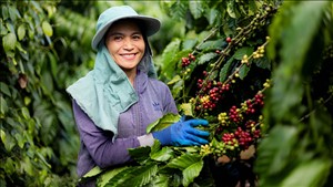 Tăng trưởng bứt phá và phát triển bền vững: Hai mục tiêu, một hành trình
