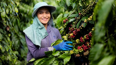 Tăng trưởng bứt phá và phát triển bền vững: Hai mục tiêu, một hành trình