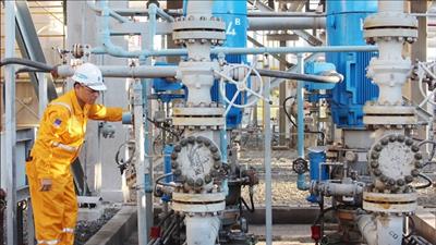PV GAS ký kết loạt hợp đồng dự án NCS2 điều chỉnh và Sao Vàng – Đại Nguyệt