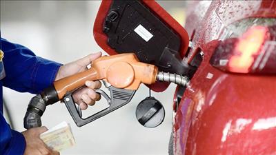 Bộ Khoa học và Công nghệ lấy ý kiến sửa đổi quy chuẩn quốc gia về xăng dầu