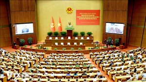 Tổng Bí thư, Chủ tịch nước Tô Lâm: Chủ trương đúng phải trở thành năng lực phát triển thực chất