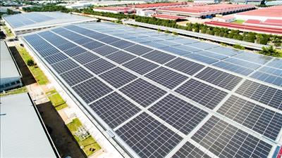Đề xuất kế hoạch hành động tái chế chất thải tấm quang năng