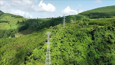 Hoàn thành nâng khả năng tải đường dây 220kV Quảng Ngãi - Phù Mỹ