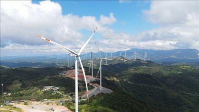 VCEA luôn sẵn sàng hỗ trợ các doanh nghiệp đầu tư dự án điện gió tại Quảng Trị
