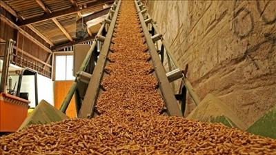 Quảng Trị chấp thuận chủ trương đầu tư dự án nhà máy sản xuất viên nén năng lượng