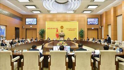 Đề nghị phân bổ hơn 2.500 tỷ đồng để thực hiện dự án kéo điện ra Côn Đảo