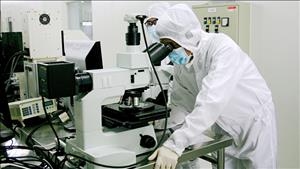 Nâng cao hiệu quả hoạt động của Quỹ phát triển khoa học, công nghệ và đổi mới sáng tạo