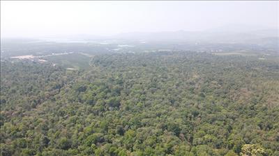 Cảnh báo nguy cơ cháy rừng trong thời điểm nắng nóng gay gắt