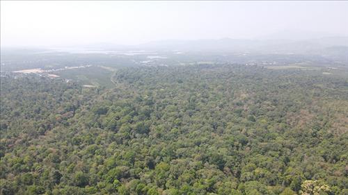 Cảnh báo nguy cơ cháy rừng trong thời điểm nắng nóng gay gắt