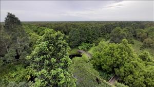 Cảnh báo nguy cơ cháy rừng cấp cực kỳ nguy hiểm tại nhiều khu vực trên cả nước