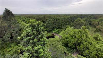 Cảnh báo nguy cơ cháy rừng cấp cực kỳ nguy hiểm tại nhiều khu vực trên cả nước