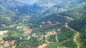 Hành động thích ứng với quy định chống mất rừng và suy thoái rừng của Liên minh châu Âu