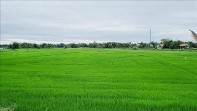 Ban hành Chương trình hành động quốc gia chống sa mạc hóa tầm nhìn đến năm 2050