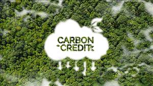 Chính phủ ban hành quy định về sàn giao dịch carbon trong nước