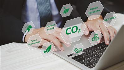 Quy định về ngân hàng thanh toán trong sàn giao dịch carbon