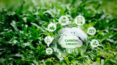 Phối hợp tổ chức vận hành sàn giao dịch carbon trong nước