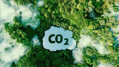 Động lực chuyển đổi xanh từ sàn giao dịch carbon