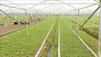 Chuyển đổi sản xuất xanh cho phát triển bền vững