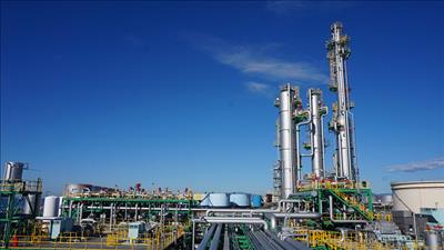 Sáng tạo xanh trong hành trình hướng tới mục tiêu Net Zero