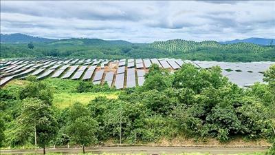 Nghiệm thu đưa vào sử dụng Nhà máy điện mặt trời Sê San 4