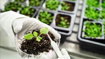 TPHCM phát triển công nghiệp sinh học ngành nông nghiệp theo hướng bền vững, thân thiện môi trường