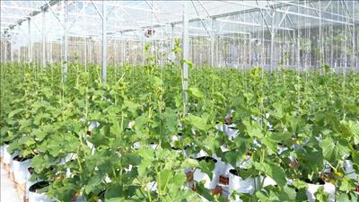 Phát triển công nghiệp sinh học ngành công thương