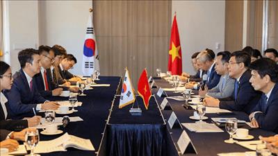 Tập đoàn Hàn Quốc mong muốn mở rộng đầu tư trong lĩnh vực năng lượng tại Việt Nam