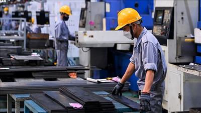 Gần 256.000 doanh nghiệp gia nhập thị trường trong 10 tháng năm 2025