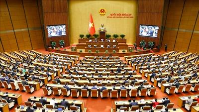 Kiện toàn Ban Chỉ đạo của Quốc hội về phát triển khoa học, công nghệ