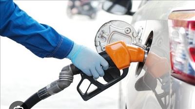 Đẩy mạnh ứng dụng số hóa trong quản lý kinh doanh xăng dầu